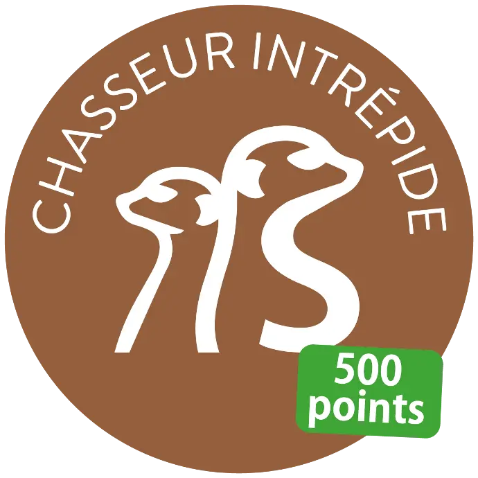 Chasseur intrépide